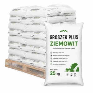 Karlik groszek plus Ziemowit