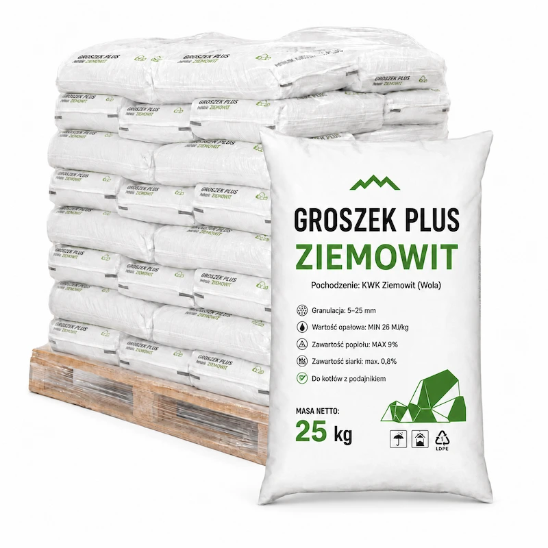 Karlik groszek plus Ziemowit – workowany