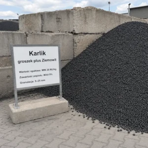 Karlik groszek plus Ziemowit